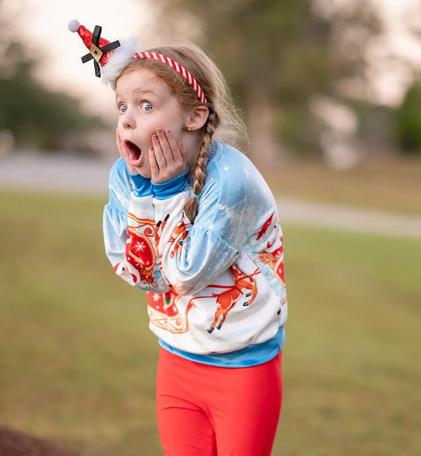 Blue Scenic Santa Ice Velour Sweater