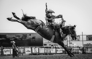 Yee Haww...it's Rodeo Time! - Millieloveslily.com