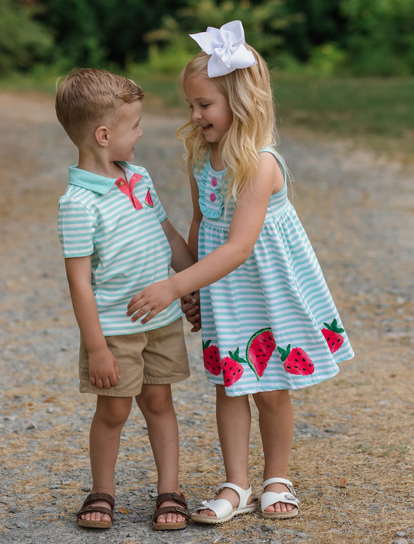 Mint Stripe Watermelon Strawberry Button-Front A-Line Dress