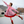 Red Holiday Swirl Button-Front A-Line Dress