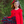 Millie Loves Lily Girls' Red Plaid Dress and Cardigan Set