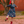 Midnight Holiday Folly Velour Bow-Waist Dress