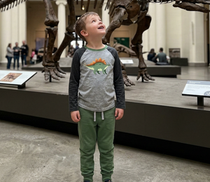 Kids Gray & Loden Frost Dino Long-Sleeve Tee & Joggers