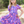 Purple Polly Paisley 3-Tier A-Line Dress