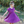 Millie Loves Lily Girls' Plum Rib Velour Short Sleeve Dress With Bow Waistband