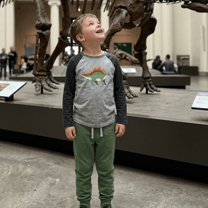 Kids Gray & Loden Frost Dino Long-Sleeve Tee & Joggers - Millieloveslily.com