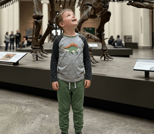Kids Gray & Loden Frost Dino Long-Sleeve Tee & Joggers - Millieloveslily.com