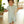 Kids Sage & Cream Check Short - Sleeve Romper - Millieloveslily.com