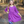 Millie Loves Lily Girls Turq And Dk Purple Dress And Printed Leggings Set,4 - PCS - Millieloveslily.com